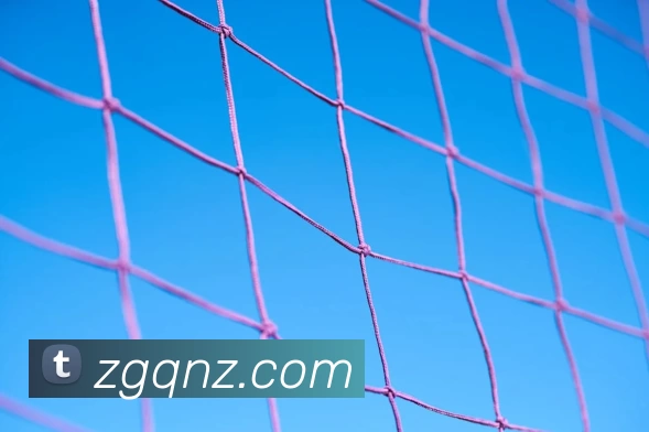 欧宝app官方端入口 - 欧宝(中国)APP 体育赛事宣传图